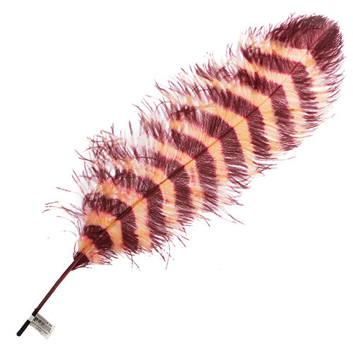 Ostrich Wing 24in+ Striped