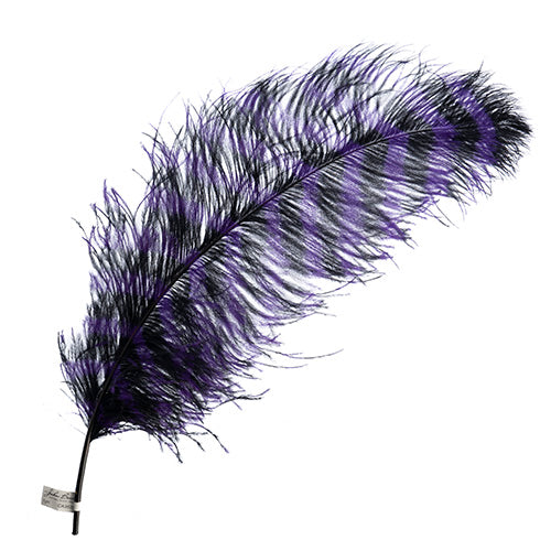 Ostrich Wing 24in+ Striped