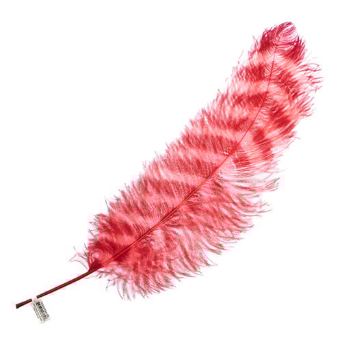 Ostrich Wing 24in+ Striped