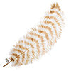 Ostrich Wing 24in+ Striped 