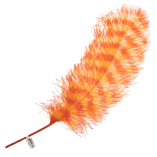 Ostrich Wing 24in+ Striped