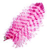 Ostrich Wing 24in+ Striped 