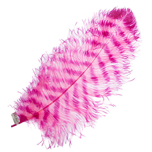Ostrich Wing 24in+ Striped