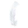 Marabou Feathers Bulk 