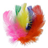 Marabou Feathers Bulk 