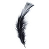 Marabou Feathers 4-6in  (3 x 6g each)