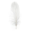 Goose Feathers 5-7in  (3 x 6g each)