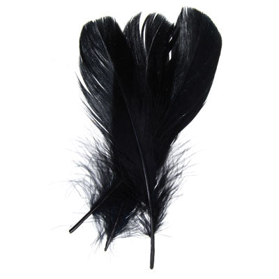 Goose Feathers 5-7in  (3 x 6g each)