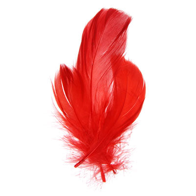 Goose Feathers 5-7in  (3 x 6g each)