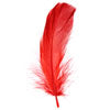 Goose Feathers 5-7in  (3 x 6g each)