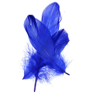 Goose Feathers 5-7in  (3 x 6g each)