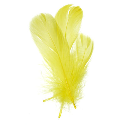 Goose Feathers 5-7in  (3 x 6g each)