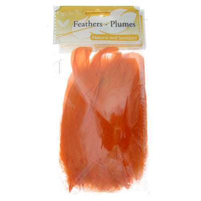 Goose Feathers 5-7in  (3 x 6g each)