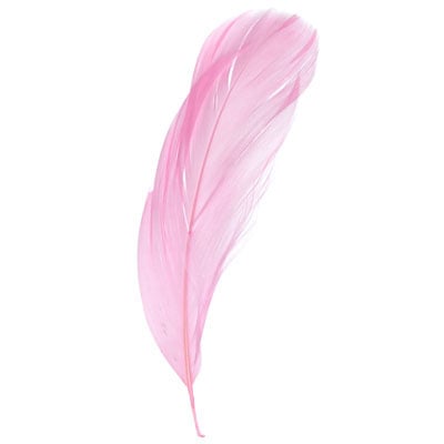 Goose Feathers 5-7in  (3 x 6g each)