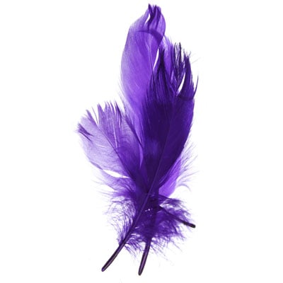 Goose Feathers 5-7in  (3 x 6g each)