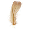 Goose Feathers 5-7in  (3 x 6g each)