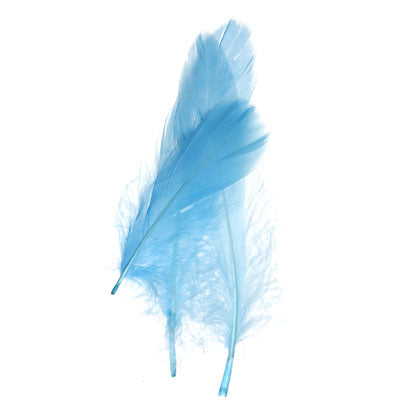 Goose Feathers 5-7in  (3 x 6g each)