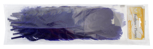 Turkey Quill 12in  (3 x 6pcs each) 