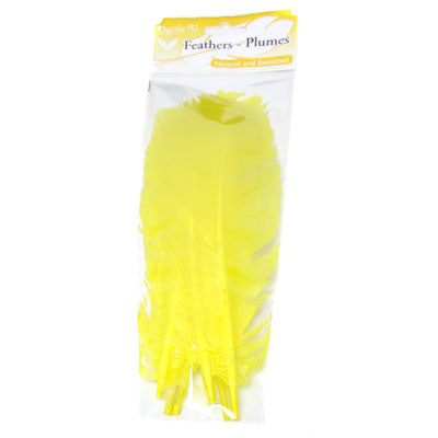 Turkey Quill 12in  (3 x 6pcs each) 