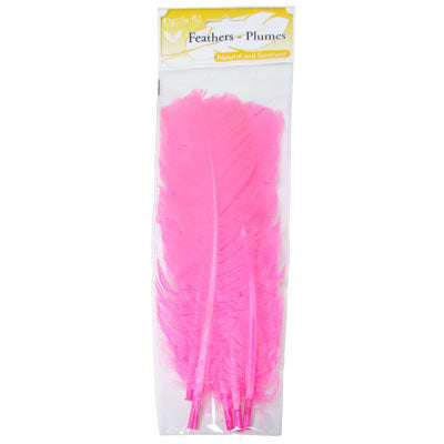 Turkey Quill 12in  (3 x 6pcs each) 