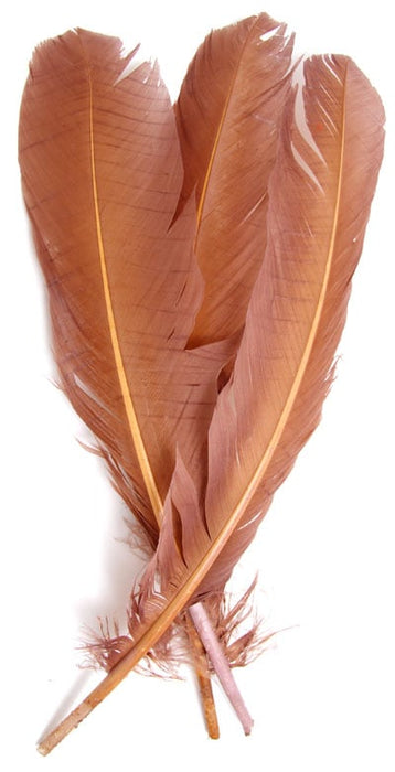 Turkey Quill 12in  (3 x 6pcs each) 