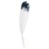 Imitation Eagle Feather 12in 18pcs 