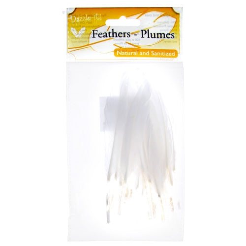 Duck Wing Quill 3-4in  (3 x 24pcs)