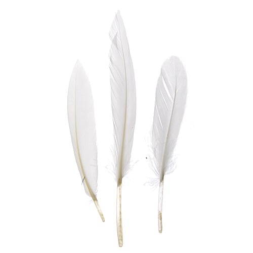 Duck Wing Quill 3-4in  (3 x 24pcs)