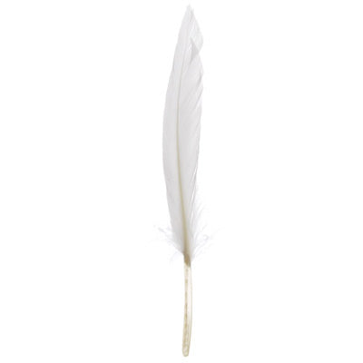 Duck Wing Quill 3-4in  (3 x 24pcs)