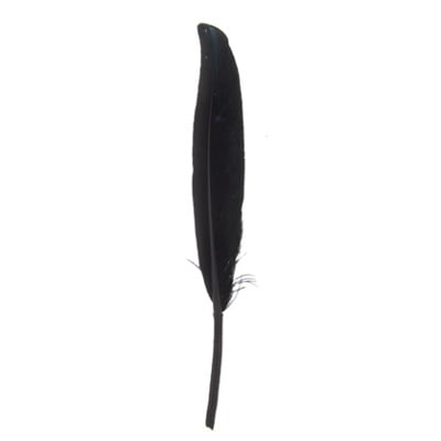 Duck Wing Quill 3-4in  (3 x 24pcs)