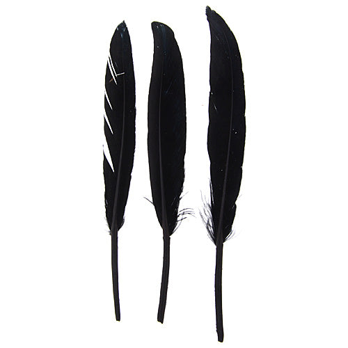 Duck Wing Quill 3-4in  (3 x 24pcs)
