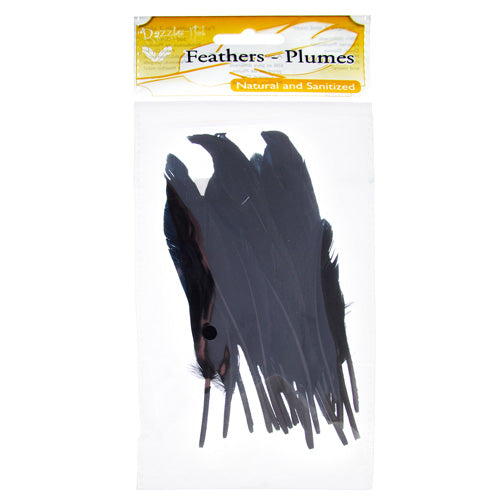 Duck Wing Quill 3-4in  (3 x 24pcs)