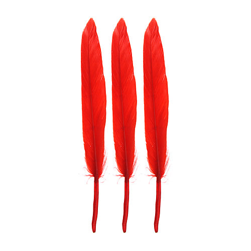 Duck Wing Quill 3-4in  (3 x 24pcs)