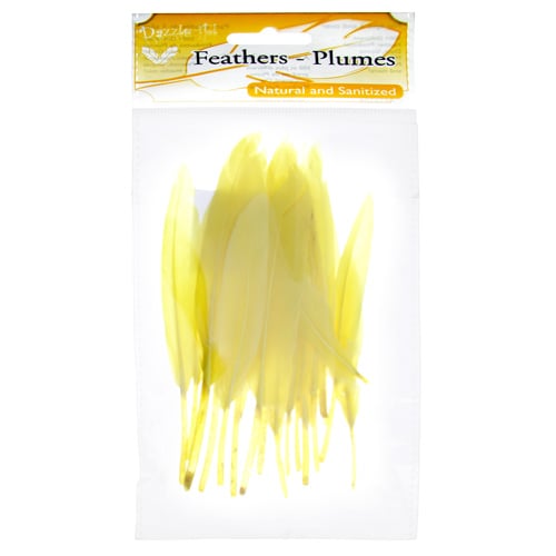 Duck Wing Quill 3-4in  (3 x 24pcs)