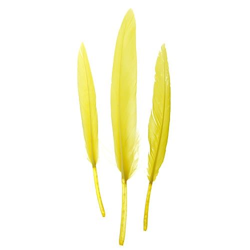 Duck Wing Quill 3-4in  (3 x 24pcs)