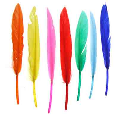 Duck Wing Quill 3-4in  (3 x 24pcs)