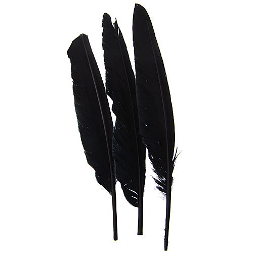 Duck Quill 7in  (3 x 12pcs)
