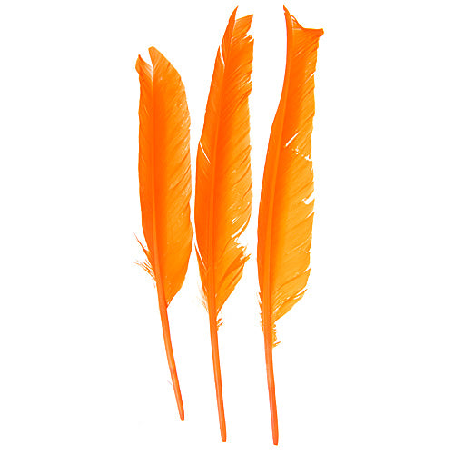 Duck Quill 7in Orange (3Headers x 12pcs)