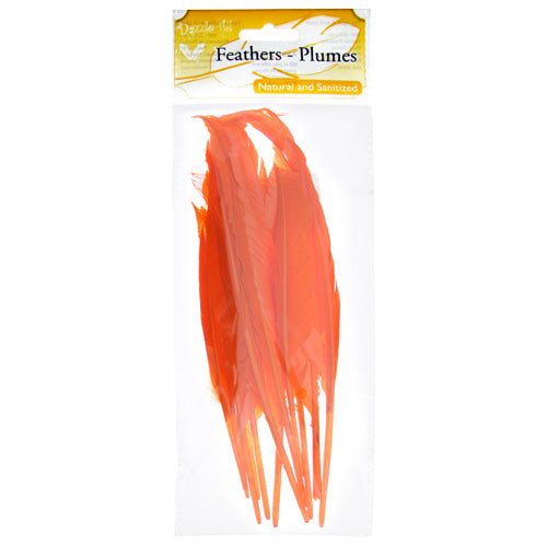 Duck Quill 7in Orange (3Headers x 12pcs)