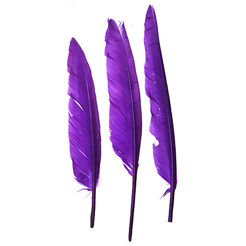 Duck Quill 7in  (3 x 12pcs)