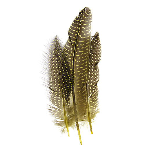 Guinea Fowl Quill 6-9in  (3 x 10pcs)