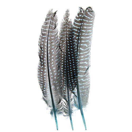 Guinea Fowl Quill 6-9in  (3 x 10pcs)