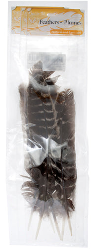 Turkey Barred Quills 10in (3 x 2pcs) 
