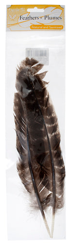 Turkey Barred Quills 10in (3 x 2pcs) 