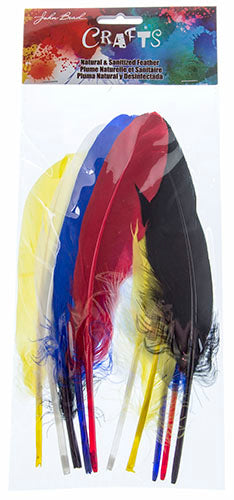 Goose Feathers 5-6in 10pcs Assorted Colors (Left& Right)