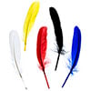 Goose Feathers 5-6in 10pcs Assorted Colors (Left& Right)