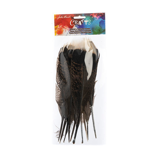 Bronze Turkey Tail Natural 10pcs Left & Right 8-14in