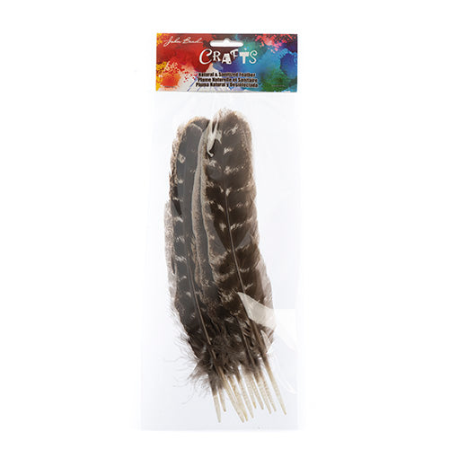 Turkey Quill Barred  10pcs Left & Right