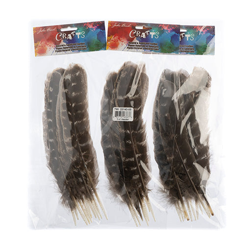 Turkey Quill Barred  10pcs Left & Right