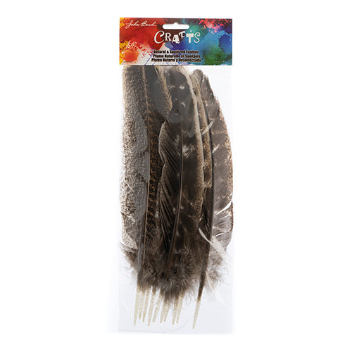 Turkey Quill Barred  10pcs Left & Right